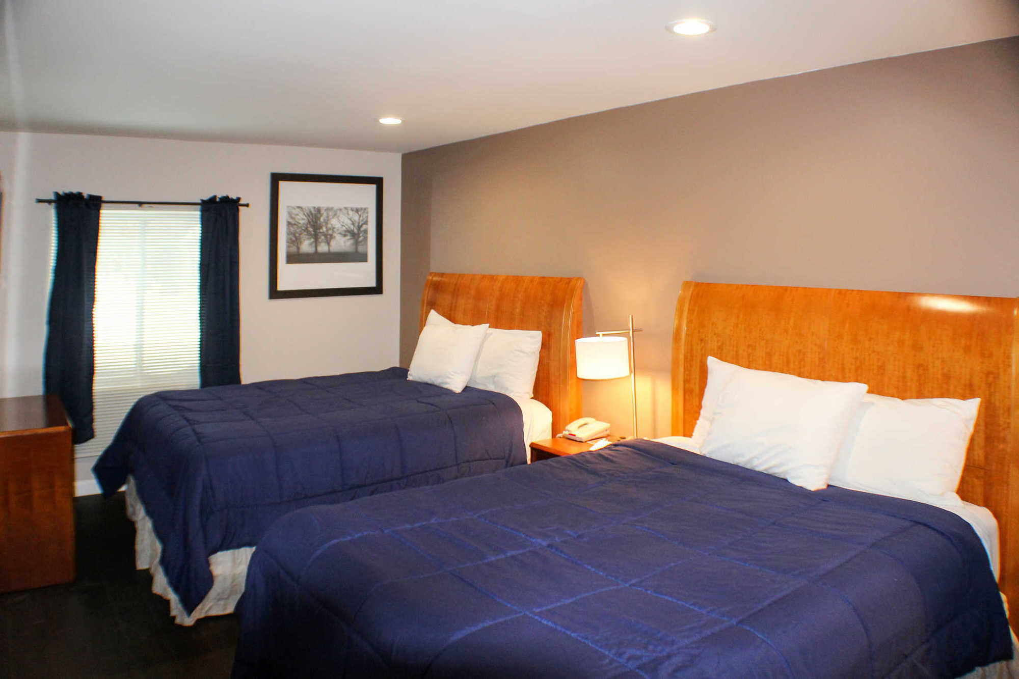 Quality Inn & Suites Lincoln Oda fotoğraf